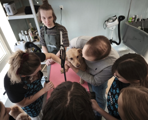 IMG_20260119_141030_1