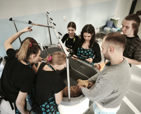 IMG_20260119_141208_2