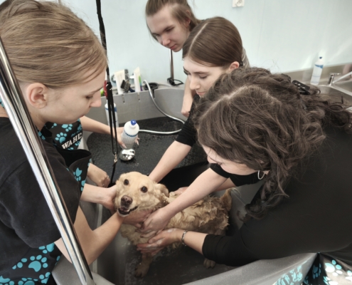 IMG_20260119_141719_1