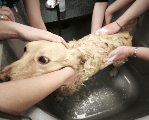 IMG_20260119_141804_2