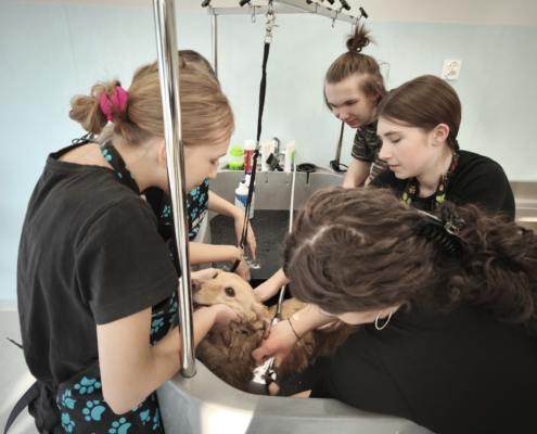 IMG_20260119_141957_2