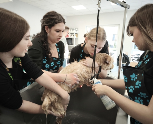 IMG_20260119_142328_1