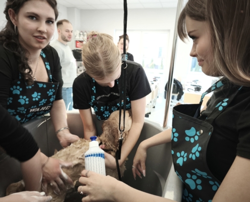 IMG_20260119_142342_1