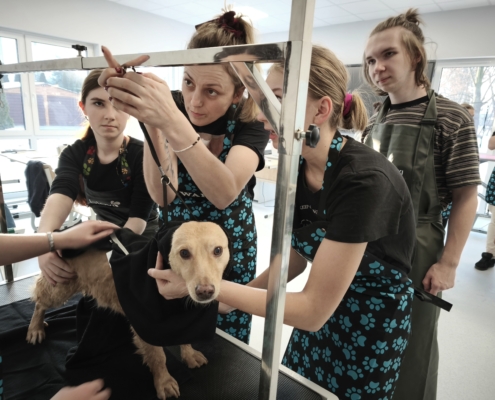 IMG_20260119_144437_4