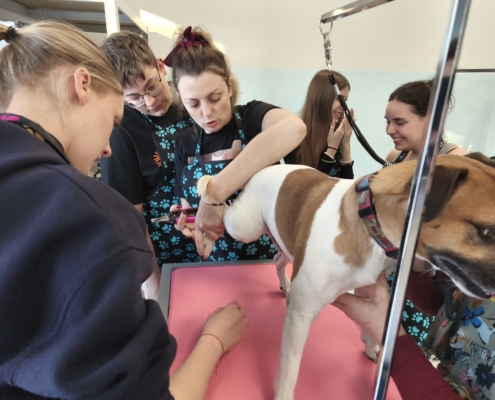 IMG_20260119_144953_1