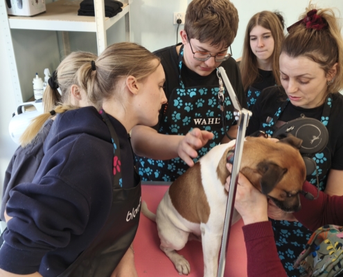 IMG_20260119_145015_1