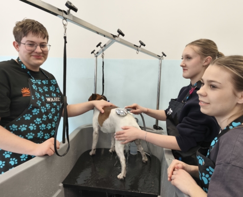 IMG_20260119_145220_2