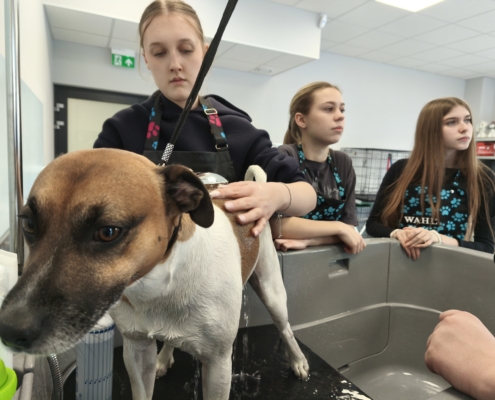 IMG_20260119_145244_1