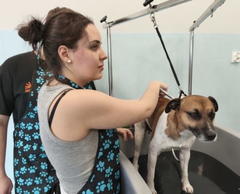 IMG_20260119_150352_1