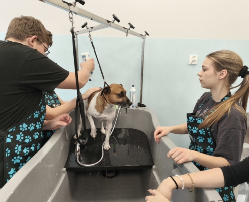 IMG_20260119_150449_2