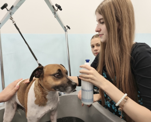 IMG_20260119_150510_4