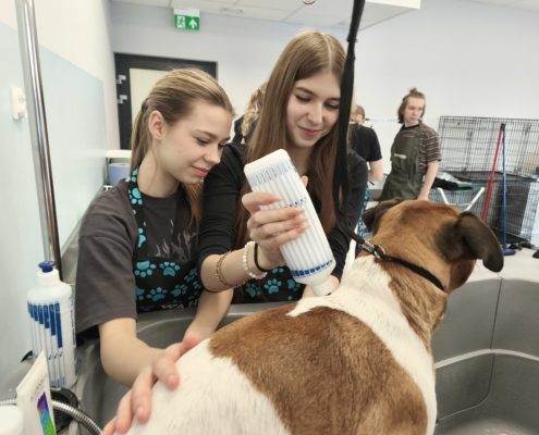 IMG_20260119_150544_1