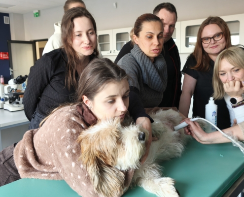 IMG_20260322_162805_1