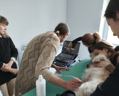 IMG_20260322_162846_2