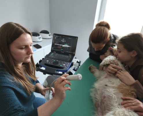 IMG_20260322_162947_1