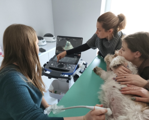 IMG_20260322_162956_2