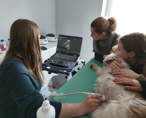 IMG_20260322_163009_3