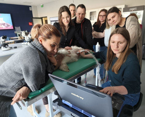 IMG_20260322_163106_2