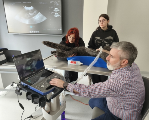 IMG_20260410_130212_2