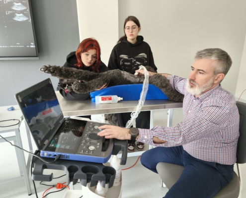 IMG_20260410_130223_5