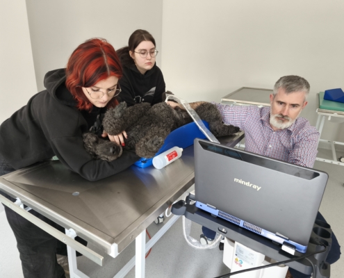 IMG_20260410_130315_1