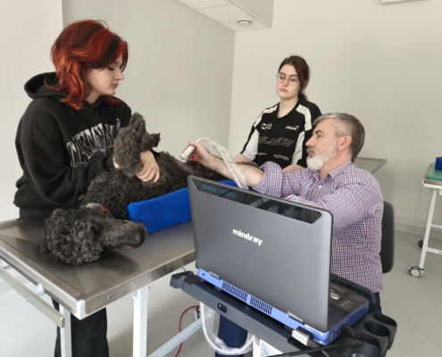 IMG_20260410_130714_3