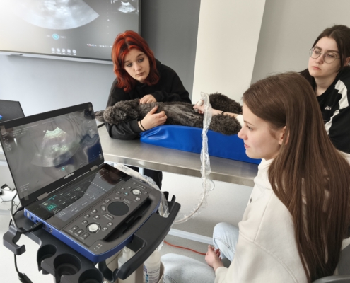 IMG_20260410_132000_2